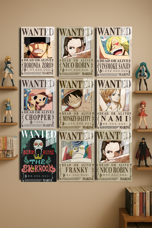 "One Piece" Anime Baskılı Metal Poster 20X30 cm (Premium Kalite)