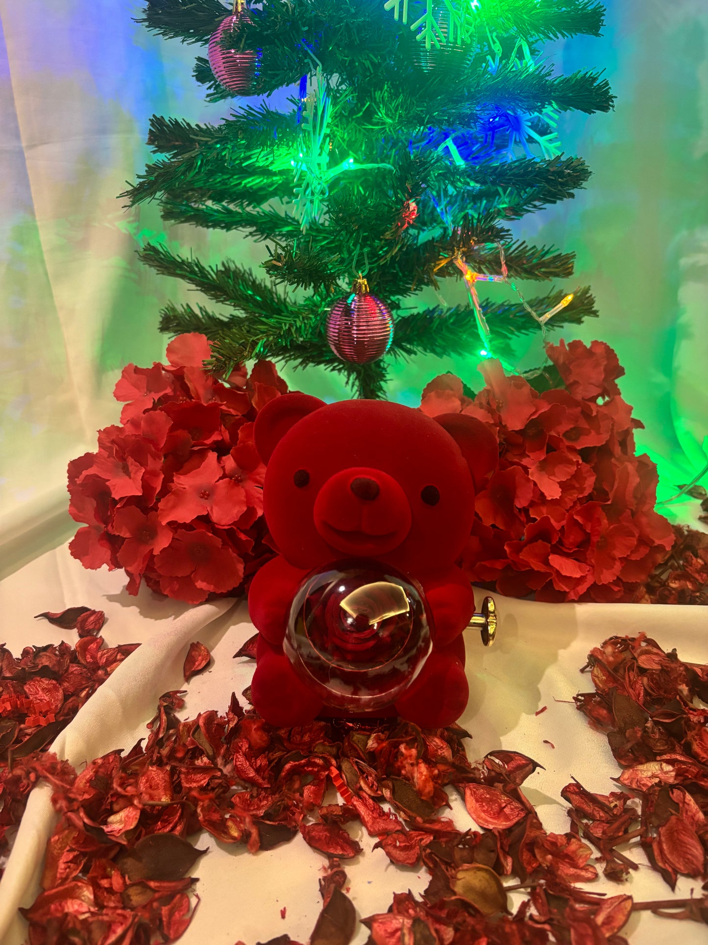 Kadife Ayıcık Dönen Güllü Ayıcık