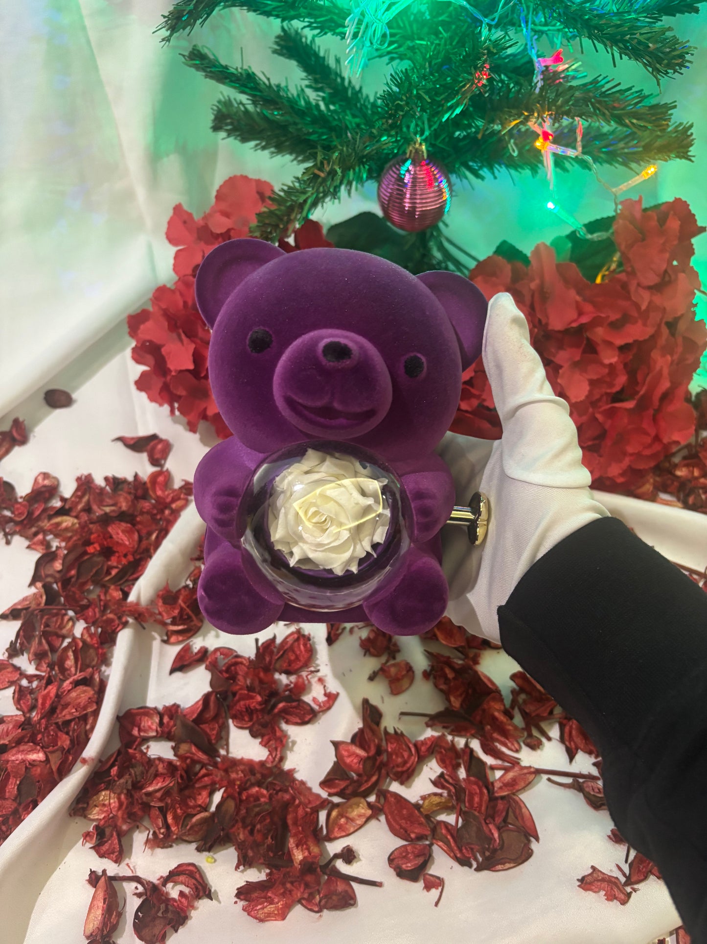 Kadife Ayıcık Dönen Güllü Ayıcık